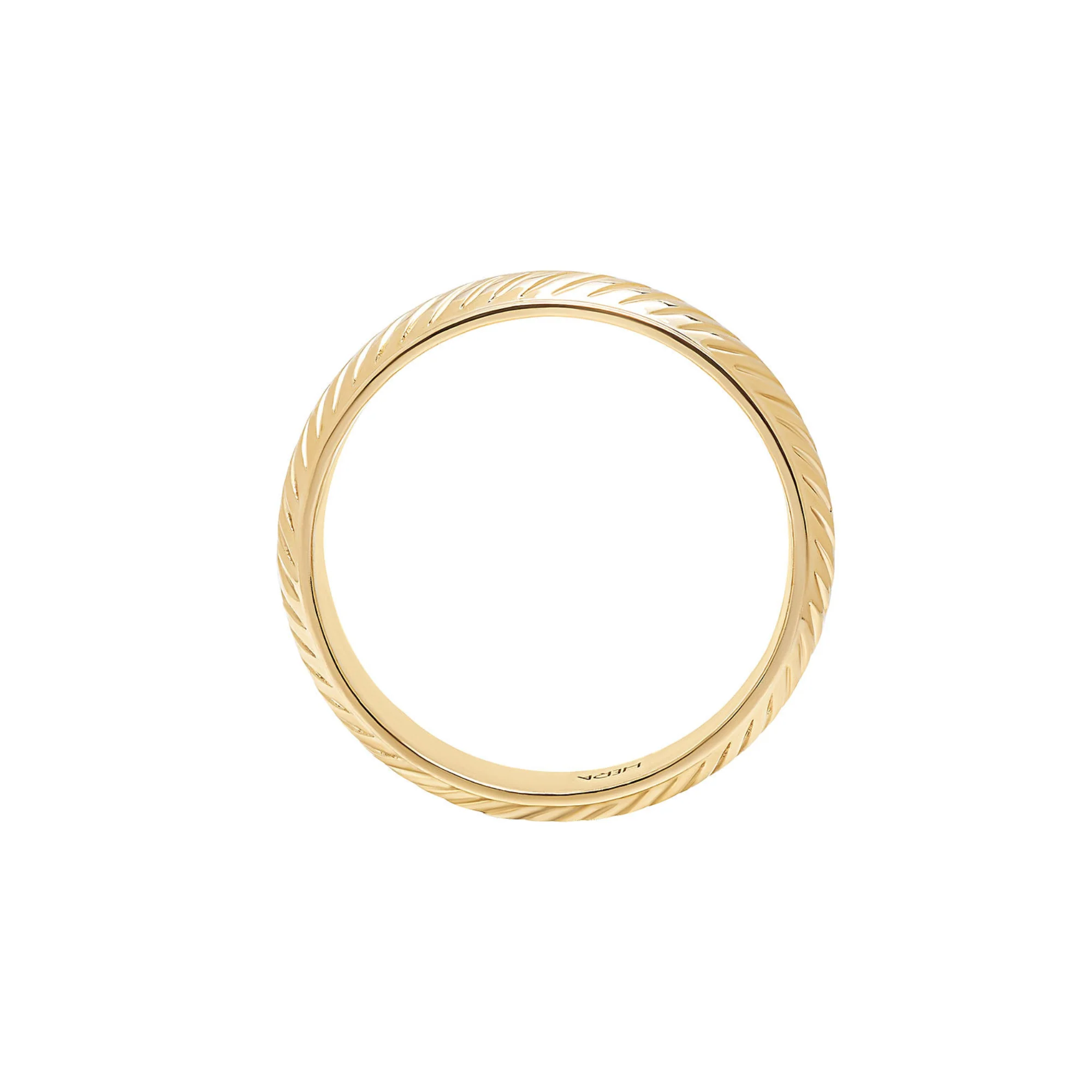 Woodrow Band - Image 4
